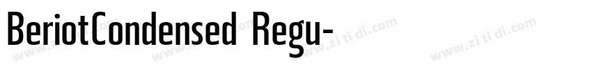 BeriotCondensed Regu字体转换